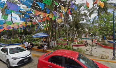 Fletes Y Mudanzas Sayulita