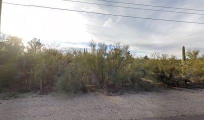 Tohono Chul Gardena Parking Lot