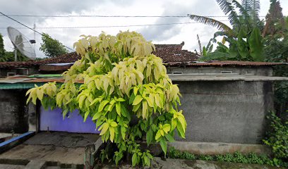 bengkel sepeda onthel G-Pole