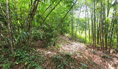 Makam keramat Raden kijang rasa