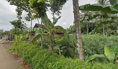 Pijat Syaraf & Lintah Turen