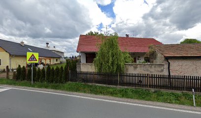 Brandejsová