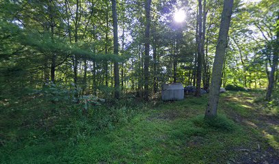 National Park Service - Mashipacong Island - Campsite # 1