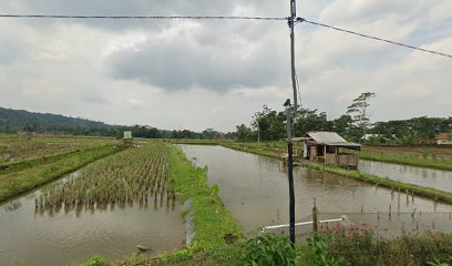 Smart Fisheries Village_ Panembangan