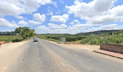 Rodoviária do Oeste, Bus stop, Bus station 3 - Óbidos