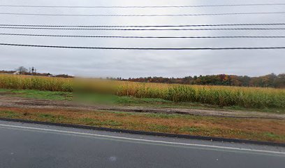 Marini Farm Corn Maze