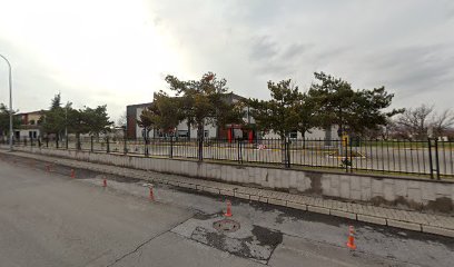 Türk Standartları Enstitüsü