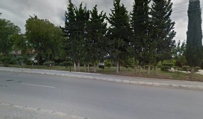 Türk Kadınlar Konseyi Parkı