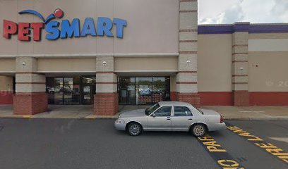 PetSmart Dog Training