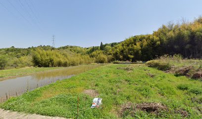 京免造園