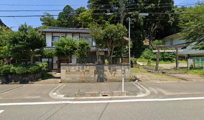 白藤神社の大モミ