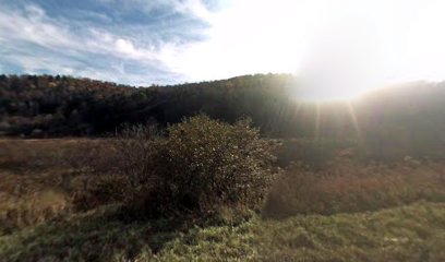 STONEY VALLEY FARM