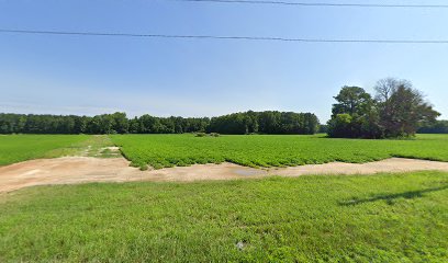 Gaskins Cemetery