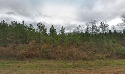 Henry Holland Cemetery