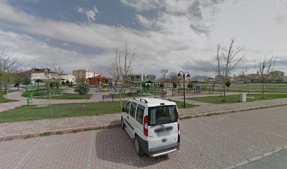 Öz kayseri kuruyemis