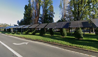 'Sun Dragon' solar array