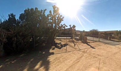 Our Lady of the Desert School