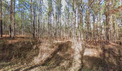 Banks Cemetery