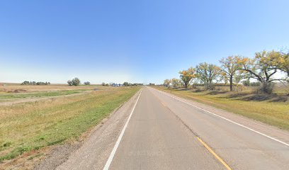 Black Hills Raptor Center