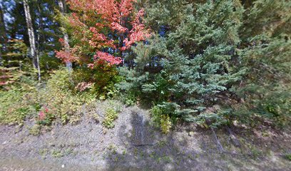 Mount Pleasant Cemetery