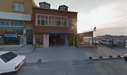 Balık Oto