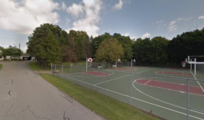 Public Basketball Courts