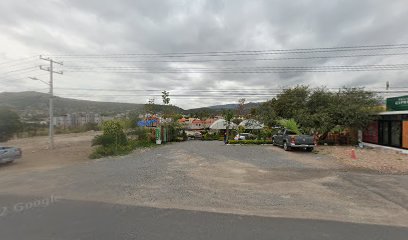 San Miguel de Allende Nursery