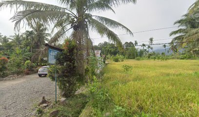 Kolam Ikan Gurami M Rizal JQ