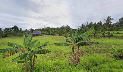 Bumi Perkemahan Tonsealama