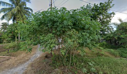 Kelompok Bermain Anggrek