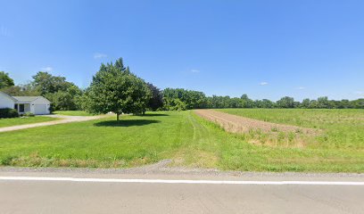 Beatty Cemetery