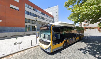 Academia de Música de Lisboa - Parque das Nações