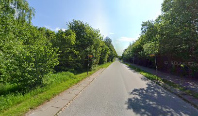 Busgaden v Moldevej (Vejle)
