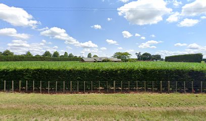 Bruntwood Apple Orchard