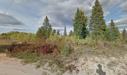 The Preserve at Bancroft Ridge