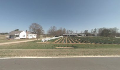 M & V Farms
