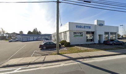 Violette Ford Parts