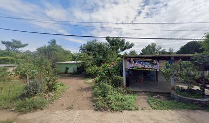 balneario el palmar tonalapa