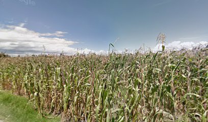 Distribuidora Ferretera Alarcón de Toluca