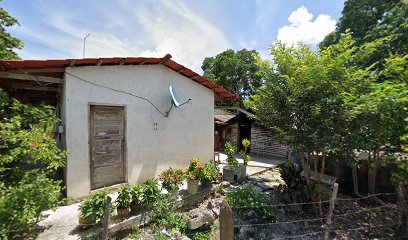 Restaurante los pachis