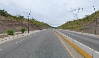 Microtecna chiapa de corzo