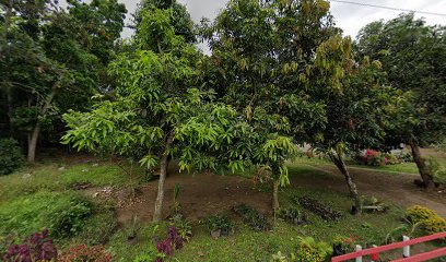 Rumah Biong seneng