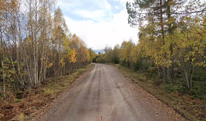 Paintbollparken i Dalarna