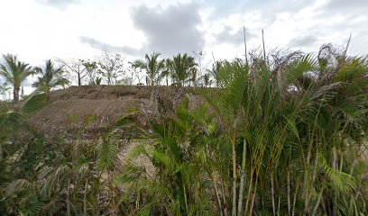 Rueda de la fortuna