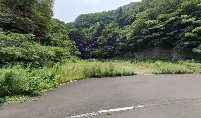 詰坂山