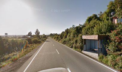 Carretera Austral / Entrada Chamiza