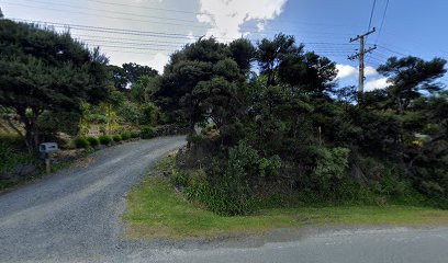 Kiwi Yogis