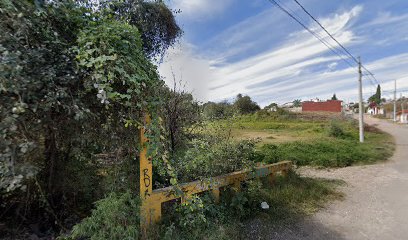 Puente Guadalupe Tlatelpa - barrio la Asuncion