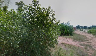 Padang Bola Bukit Tok Beng