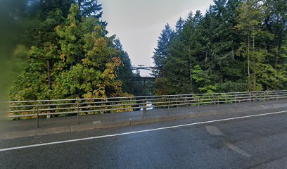 Nanaimo River Bridge